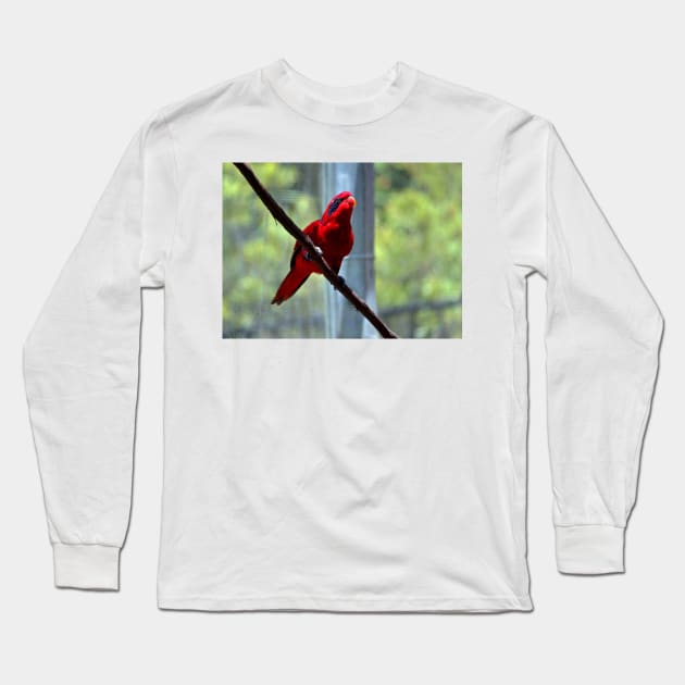 Blue-Streaked Lory Long Sleeve T-Shirt by Cynthia48